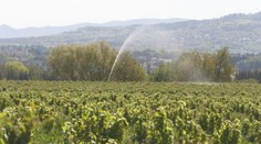 Dostali sme sa do unikátneho sadu. Plní jednu mimoriadne dôležitú úlohu