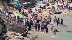 Panika na pláži v Kalifornii: Divé tulene vyhnali ľudí z pláže