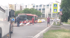 Zápcha v Petržalke s nezvyčajnou príčinou. Pozrite sa, čo si vykračovalo po priechode