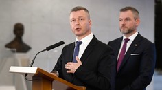 Členovia predsedníctva Maďarskej aliancie odporučili voliť Pellegriniho