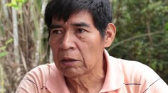 Amazónia smúti. Vodca domorodých obyvateľov podľahol koronavírusu