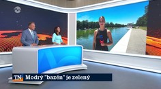 Modrý "bazén" je zelený