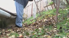 Nie každý má možnosť opadané lístie kompostovať. O tomto bezplatnom riešení mnohí ani netušia