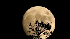 FOTO: Nádherný „lovecký mesiac“ ožiaril nočnú oblohu. Pozrite si snímky z celého sveta