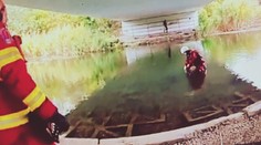 Hrozivý nález tela v nedeľu dopoludnia: Ženu objavili vo vode pod mostom v Bratislave