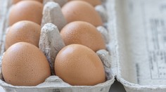 Po škandále so salmonelózou kontrolovali slovenské vajcia