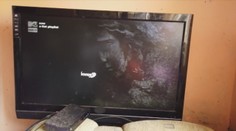 Údajné zjavenie Panny Márie trvalo tri hodiny a v osade spôsobilo poriadny rozruch