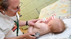 Čierny kašeľ u susedov znova zabíjal. Situácia stále nie je dobrá ani na Slovensku