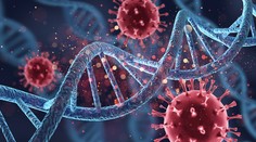 Je vírus priateľ či nepriateľ? Po skúsenostiach s covidom ho vnímame negatívne. Virológ má jasný názor