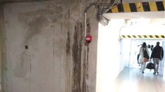 Pellegrini dostal Knihu plesní. Pozrite si, čo všetko nájdete v našich nemocniciach