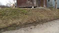 Telo muža našli pri kameňolome. Nikto netuší, čo sa stalo