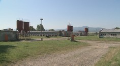 Africký mor sa naďalej šíri. Nákazu potvrdili v ďalších chovoch na východe