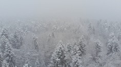 Aj Česko zasiahla snehová chumelica. Sprevádzal ju tam málo častý jav