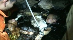 Chlapcov skoro pochoval asfalt. Vyťahovali ich štyri hodiny