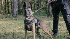 FOTO + VIDEO Muži zákona odhalili tajomstvá o policajných psoch. Vieme, podľa čoho si ich vyberajú a kde trávia svoj dôchodok