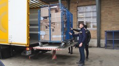 Strávili sme deň v teréne s kuriérom. Jeden zo zákazníkov si zrejme prebral svoje vlastné prekvapenie