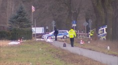 Stihol tri vraždy za jeden deň, dvojicu policajtov prešiel autom