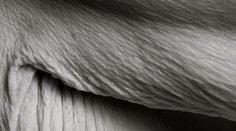 Takto vyzerá krása. Žena sa vyzliekla pred fotografkou