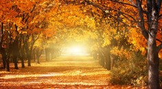 Počasie sa s nami pekne pohrá: Oteplí sa až o 10 stupňov!