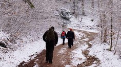 Rána a noci už budú mrazivé. Na Slovensku napadne aj prvý sneh