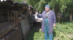 Poradovníky na palivové drevo. Niekde sa vypredalo až do konca roka, ceny navyše prudko stúpli