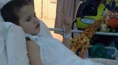 Chlapec († 9) vyhral boj s leukémiou. Zomrel pri autonehode