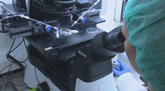 Biologické hodiny tikajú aj mužom. Viacerí si preto nechávajú zmraziť svoje spermie