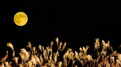 Nebeské divadlo nad Slovenskom: Pre výnimočný spln Mesiaca sa oplatí si privstať