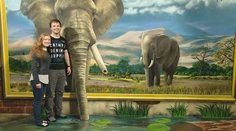 Mozog miluje všetko neštandardné, oklamať oči môže byť zábavné i poučné