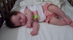 Obrovská tragédia. Dievčatko (†1) roztrhal pitbull