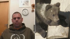Zachraňujeme medvieďatá, no strieľame ich matky. Slovenský odborník sa pýta, či to dáva zmysel