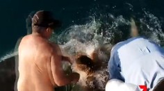 VIDEO: Žena urobila obrovskú chybu a skončila vo vode medzi žralokmi