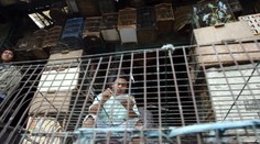 Ešte väčšia pohroma ako covid-19. Indickí vedci predpovedajú, ako by mohla vypuknúť ďalšia pandémia