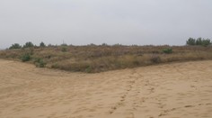 Vresový med patrí k tým najvzácnejším na Slovensku