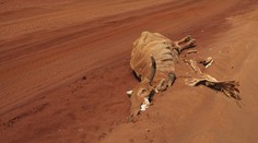 Drsné! V jedinej krajine môže hlad zabiť viac než milión ľudí