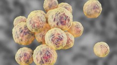 Celú rodinu napadla zákerná baktéria. Žena tvrdí, že si ju priniesli z nemocnice