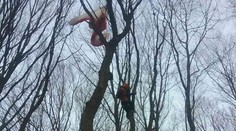 Hasiči zachránili paraglajdistu, ktorý uviazol na strome