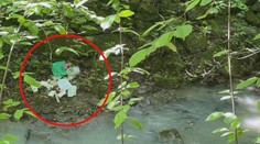 Nešikovný vandal alebo rafinovaný plán? Do potoka niekto vyhodil s farbami a riedidlami aj dokumenty s osobnými údajmi