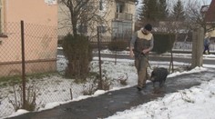 Na rodinný dom v Zlatých Moravciach dohliada naozaj netypické zviera