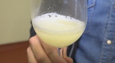 Smrtiace nástrahy burčiaka: Rady vinára a lekára vám môžu zachrániť život