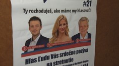 Politická strana, ktorá má jeden zásadný programový bod
