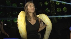 Exkluzívne zábery! Jasminu Alagič paralyzoval obrí pytón