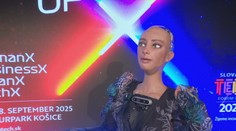 Humanoidný robot po prvýkrát na Slovensku: Sophia rečnila na technologickej konferencii