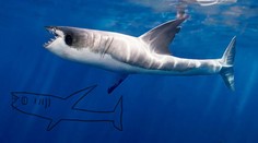 Takto vyzerá svet detskými očami