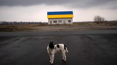 Ukrajinská armáda oznámila, že získala kontrolu nad celou Kyjevskou oblasťou