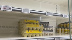 Vtáčia chrípka vyprázdňuje regály s vajíčkami, ich cena môže porásť