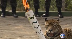 Brazílčania zastrelili jaguára, maskota olympijských hier