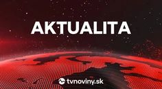 Vo väzení v Haagu zomrel odsúdený vojnový zločinec Ratko Mladič