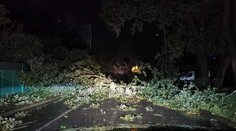 Banská Bystrica vyhlásila po nočnej smršti mimoriadnu situáciu, škody aj naďalej odstraňujú