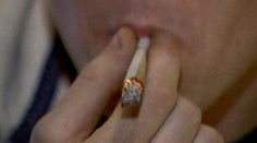 Borecovo ministerstvo pripravuje zmeny ohľadne marihuany